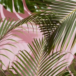 Meet your Posher, Jasalen